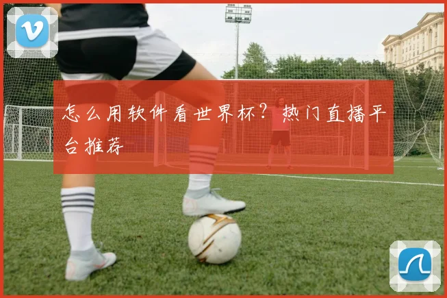 怎么用软件看世界杯？热门直播平台推荐