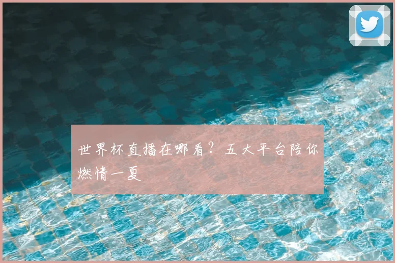 世界杯直播在哪看？五大平台陪你燃情一夏
