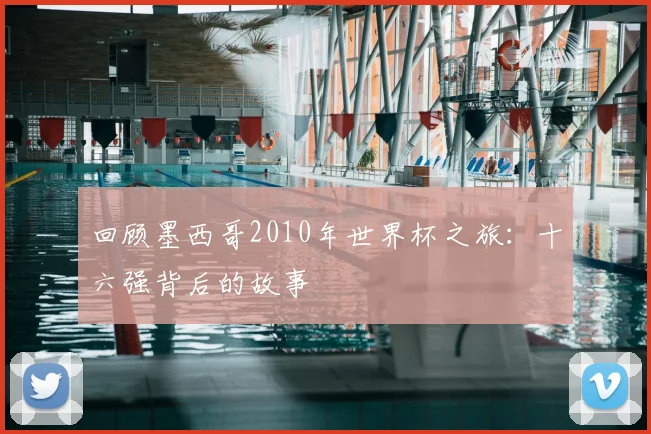 回顾墨西哥2010年世界杯之旅：十六强背后的故事