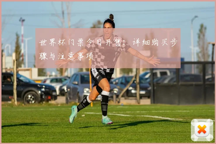 世界杯门票今日开售：详细购买步骤与注意事项