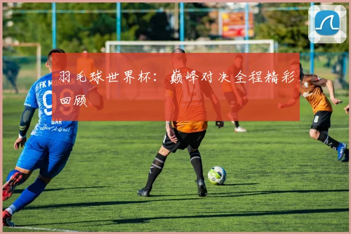羽毛球世界杯：巅峰对决全程精彩回顾