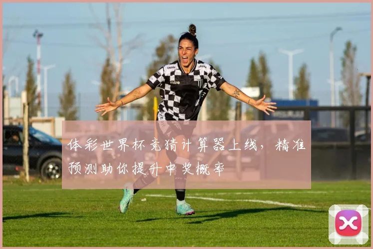 体彩世界杯竞猜计算器上线,精准预测助你提升中奖概率