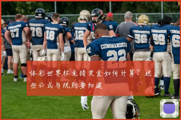 体彩世界杯竞猜奖金如何计算？这些公式与规则要知道