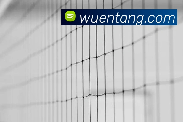 星空平台app官网品牌故事