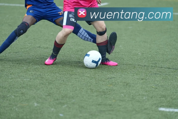 星空平台app官网服务体系