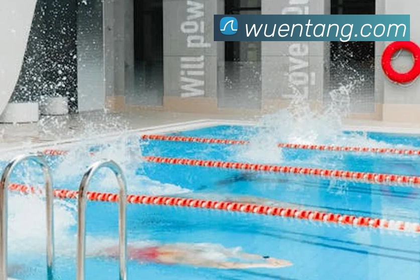 多媒体互动体验